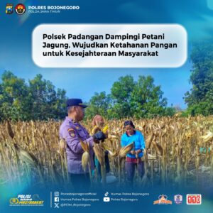 Pengabdian Tanpa Batas, Dukung Ketahanan Pangan Nasional